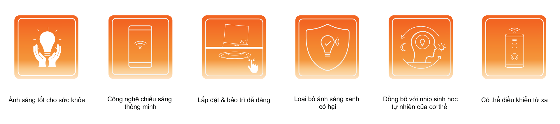 Ảnh 01 sau Banner slide